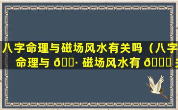 八字命理与磁场风水有关吗（八字命理与 🌷 磁场风水有 🐛 关吗知乎）